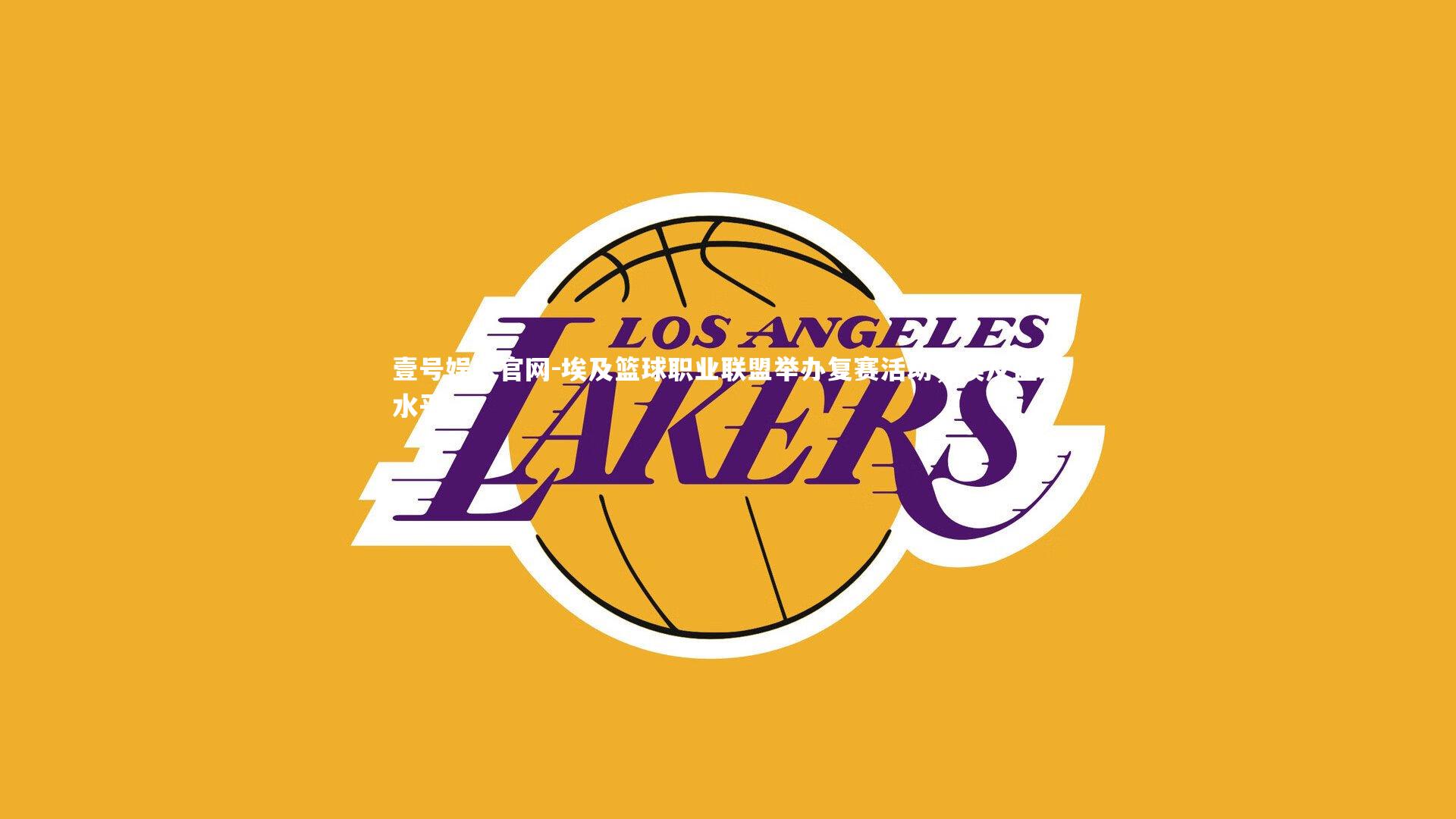 埃及篮球职业联盟举办复赛活动，埃及篮球水平