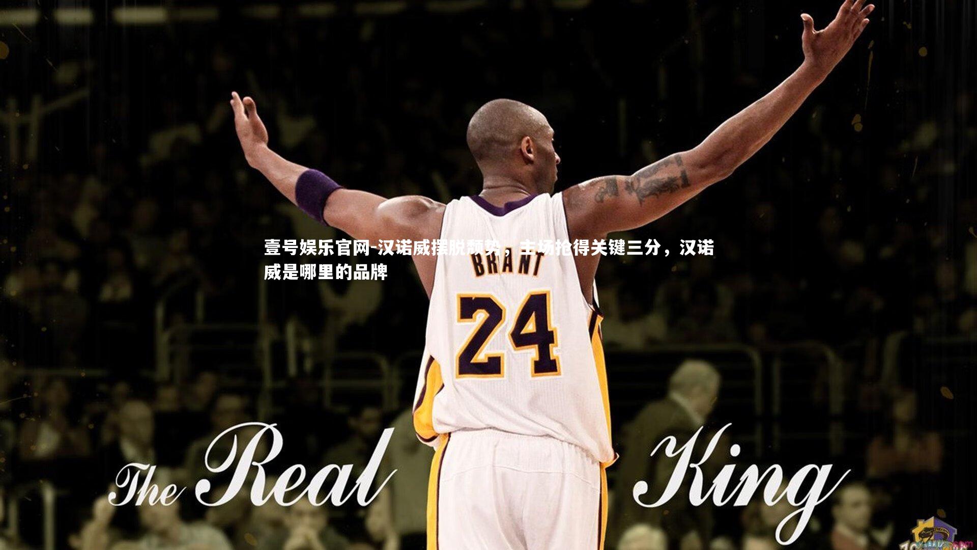 壹号娱乐官网-汉诺威摆脱颓势，主场抢得关键三分，汉诺威是哪里的品牌